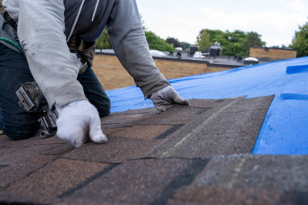 Roof Gutter Cleaning in Wasco, CA